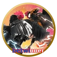 betwinner